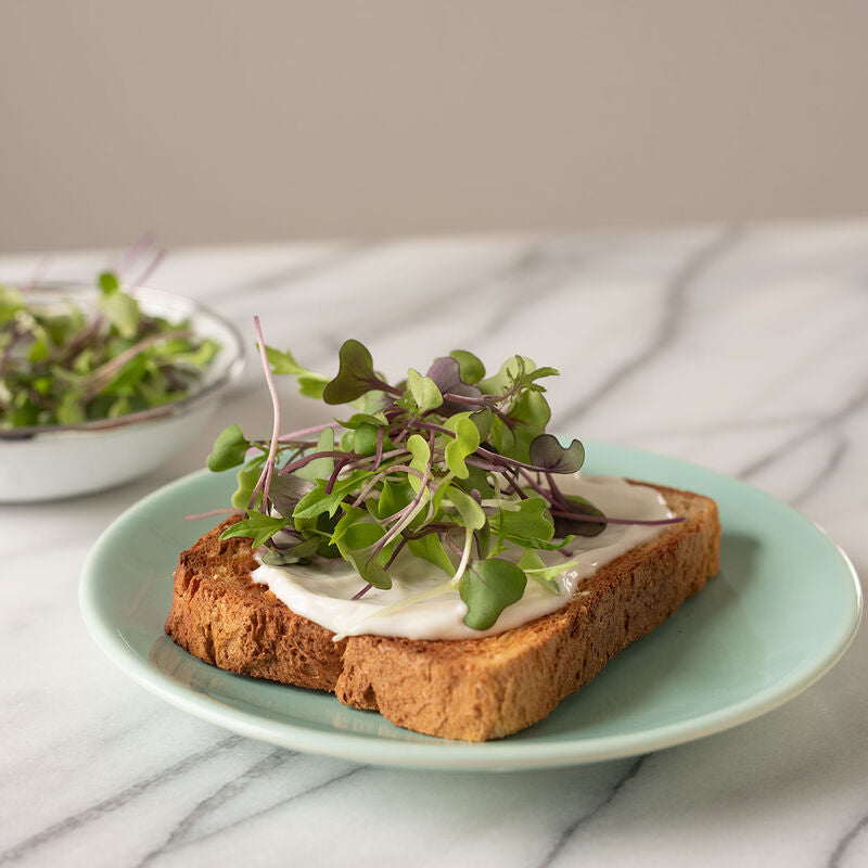 Microgreens, Basic Mix