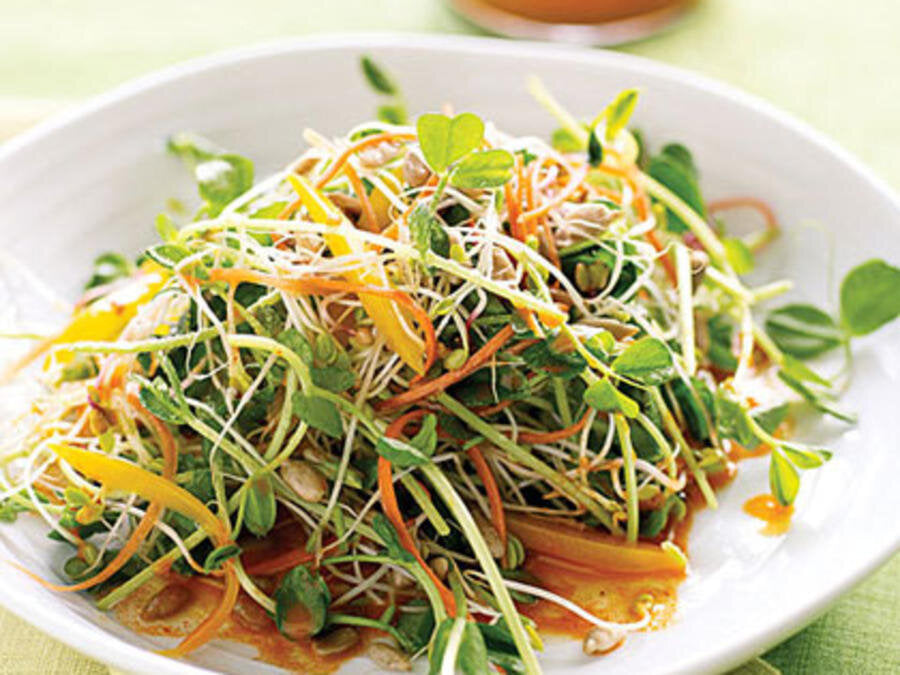 Microgreens, Cilantro