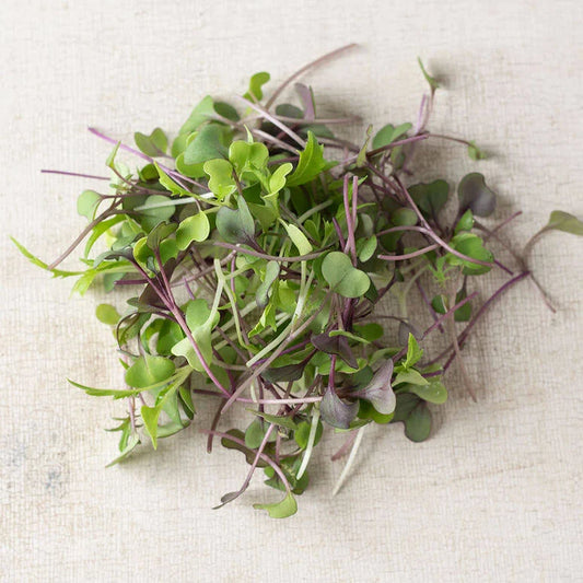 Microgreens, Basic Mix