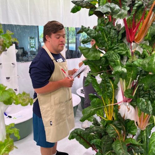 Drew, a Project RISE intern, working on indoor aeroponic farming at AboutFace Farm, symbolizing community growth and support for veterans and their families.